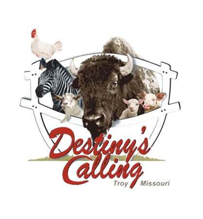 Destini Calling